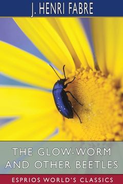 portada The Glow-Worm and Other Beetles (Esprios Classics) (in English)