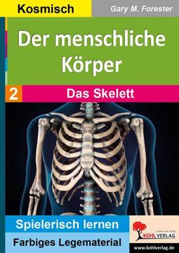 portada Der Menschliche Körper / Band 2: Das Skelett (in German)