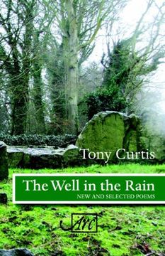 portada The Well in the Rain