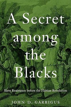portada A Secret Among the Blacks (en Inglés)