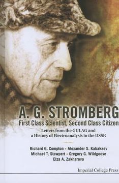 portada a.g. stromberg; first class scientist, second class citizen: letters from the gulag and a history of electroanalysis in the ussr (en Inglés)