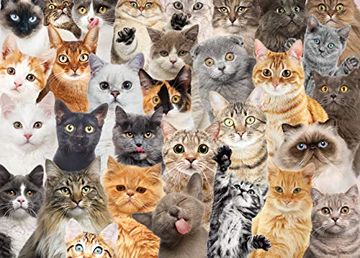 portada All the Cats Jigsaw Puzzle: 1,000 Pieces (in English)