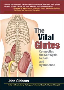 portada The Vital Glutes: Connecting the Gait Cycle to Pain and Dysfunction
