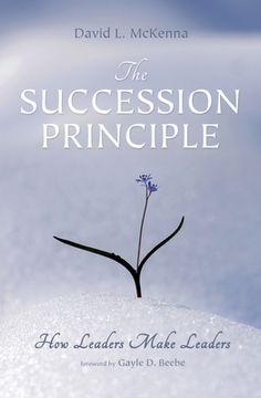 portada The Succession Principle (en Inglés)