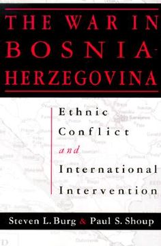 the war in bosnia-herzegovina,ethnic conflict and international intervention