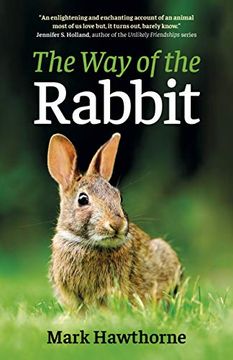portada The Way of the Rabbit (in English)