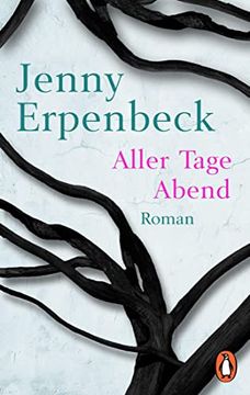 portada Aller Tage Abend: Roman (in German)