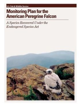 portada Monitoring Plan for the American Peregrine Falcon: A Species Recovered Under the Endangered Species Act (in English)