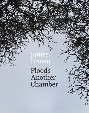 portada Floods Another Chamber (en Inglés)