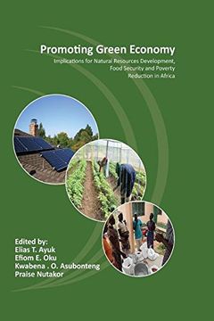 portada Promoting Green Economy: Implications for Natural Resources Development, Food Security and Poverty Reduction in Africa