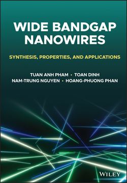 portada Wide Bandgap Nanowires: Synthesis, Properties, and Applications (in English)