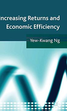 portada Increasing Returns and Economic Efficiency (in English)