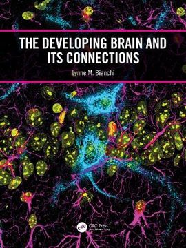 portada The Developing Brain and its Connections (in English)
