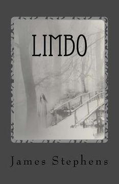 portada Limbo: book 2 of the Afterlife Chronicles (in English)