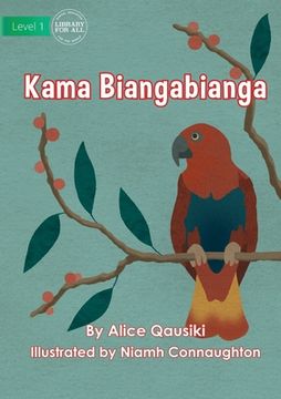 portada Birds - Kama Biangabianga