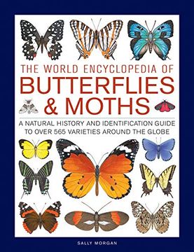 portada The World Encyclopedia of Butterflies & Moths: A Natural History and Identification Guide to Over 565 Varieties Around the Globe (en Inglés)