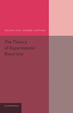 portada The Theory of Experimental Electricity (Cambridge Physical) (en Inglés)