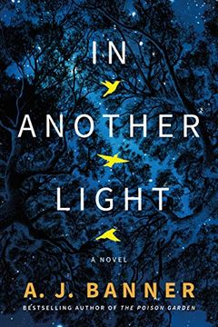 portada In Another Light: A Novel (en Inglés)