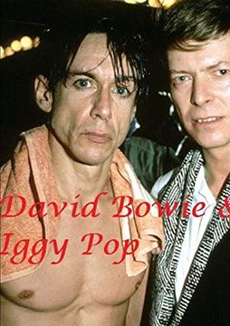 portada David Bowie & Iggy pop 