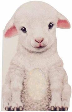 portada Furry Lamb (Mini Friends Touch & Feel) (in English)