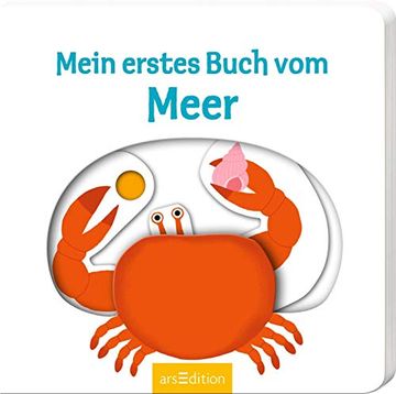 portada Mein Erstes Buch vom Meer (in German)