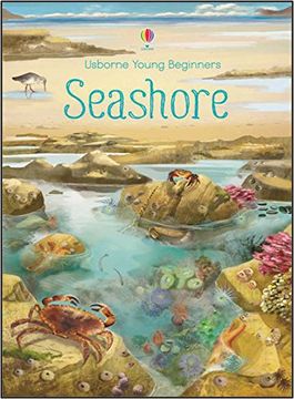 portada Young Beginners Seashore 