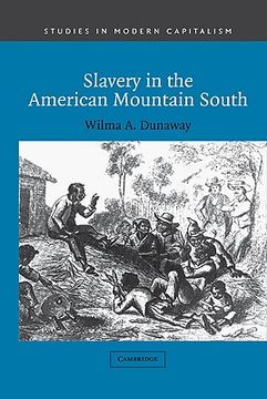 portada Slavery in the American Mountain South (Studies in Modern Capitalism) 