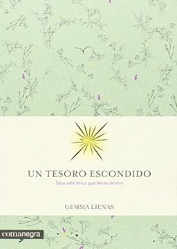 portada Un Tesoro Escondido (in Spanish)