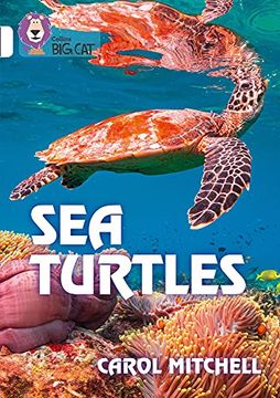 portada Sea Turtles: Band 10 (en Inglés)
