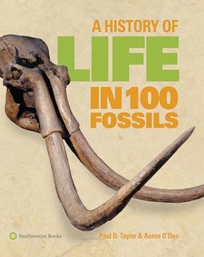 portada A History of Life in 100 Fossils (en Inglés)