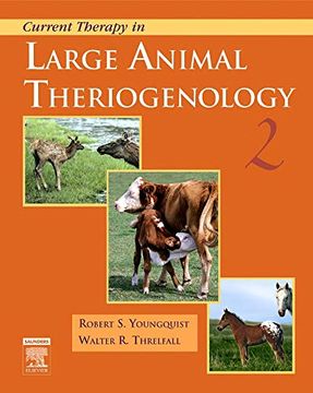 portada Current Therapy in Large Animal Theriogenology, 2e (Current Veterinary Therapy) (en Inglés)