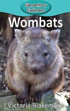 portada Wombats 