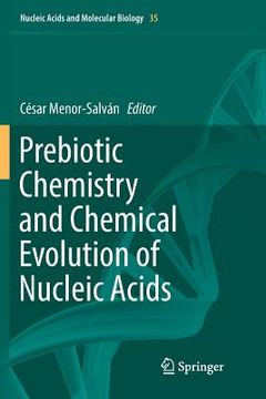 portada Prebiotic Chemistry and Chemical Evolution of Nucleic Acids (in English)