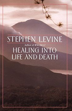 portada Healing Into Life and Death 