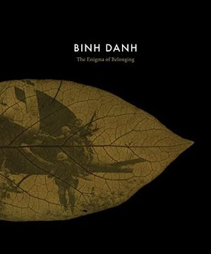 portada Binh Danh: The Enigma of Belonging (en Inglés)