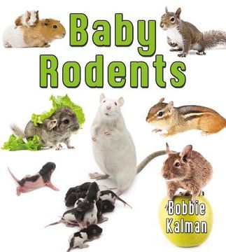 portada baby rodents (en Inglés)
