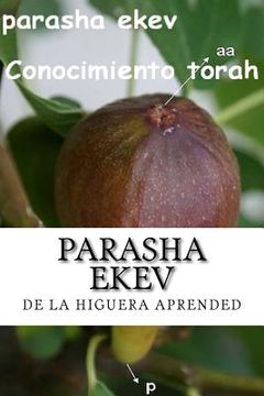 portada Parasha Ekev: El Secreto Biblico de La Higuera