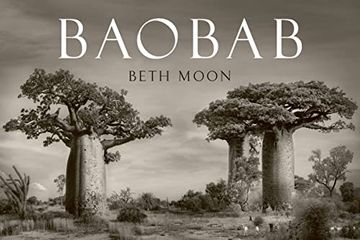 portada Baobab (en Inglés)