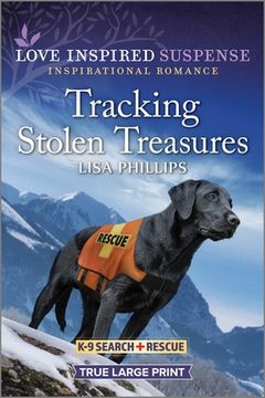 portada Tracking Stolen Treasures (en Inglés)