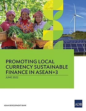 portada Promoting Local Currency Sustainable Finance in Asean+3 (en Inglés)