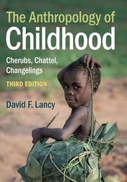 portada The Anthropology of Childhood: Cherubs, Chattel, Changelings (en Inglés)