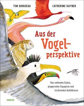 portada Aus der Vogelperspektive (in German)