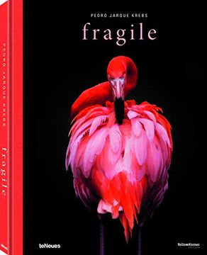 portada Fragile 