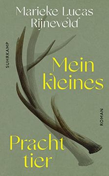 portada Mein Kleines Prachttier: Roman (Suhrkamp Taschenbuch) (in German)