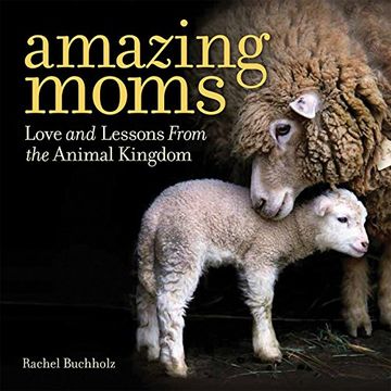 portada Amazing Moms: Love and Lessons From the Animal Kingdom (in English)