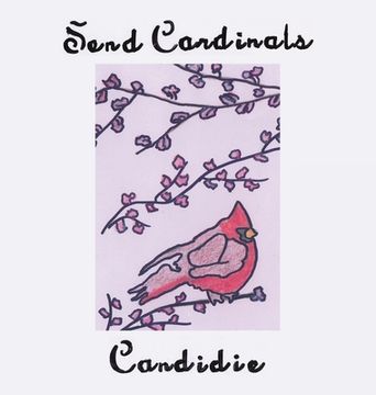 portada Send Cardinals (en Inglés)