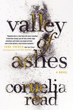 portada valley of ashes (en Inglés)