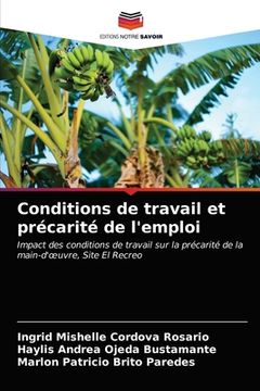 portada Conditions de travail et précarité de l'emploi (en Francés)