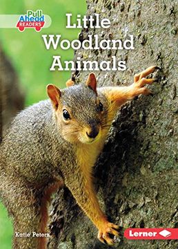 portada Little Woodland Animals (en Inglés)