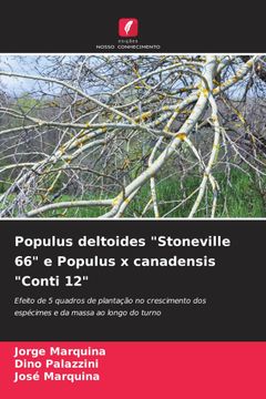 portada Populus Deltoides Stoneville 66 e Populus x Canadensis Conti 12